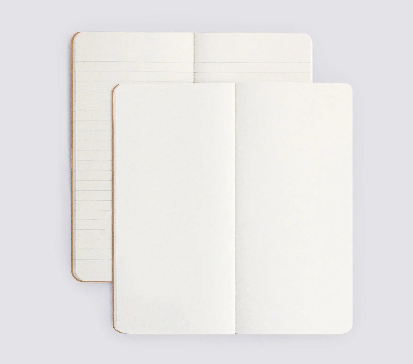 DAILY LEDGER SET OF 2