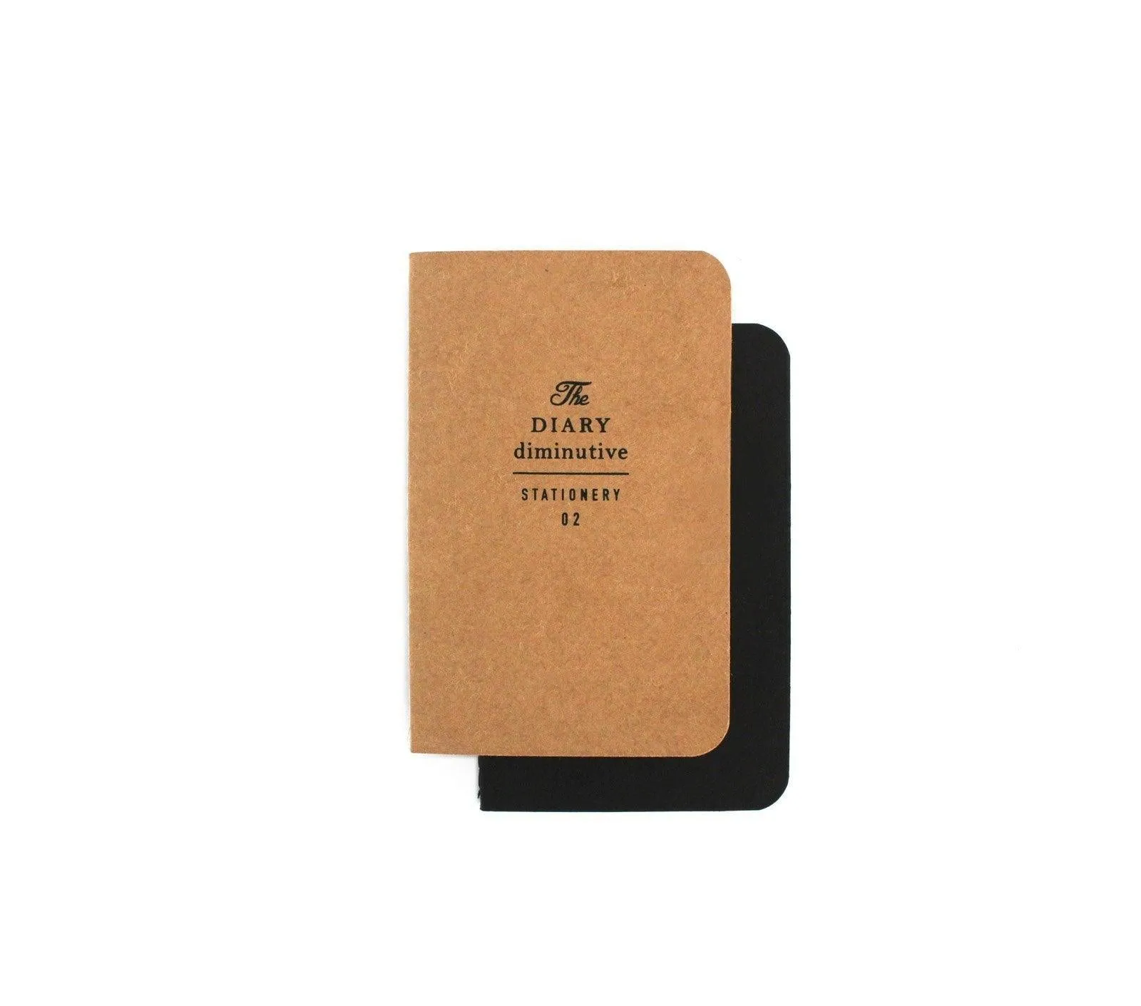 DIMINUTIVE DIARY SET OF 2 - BLANK