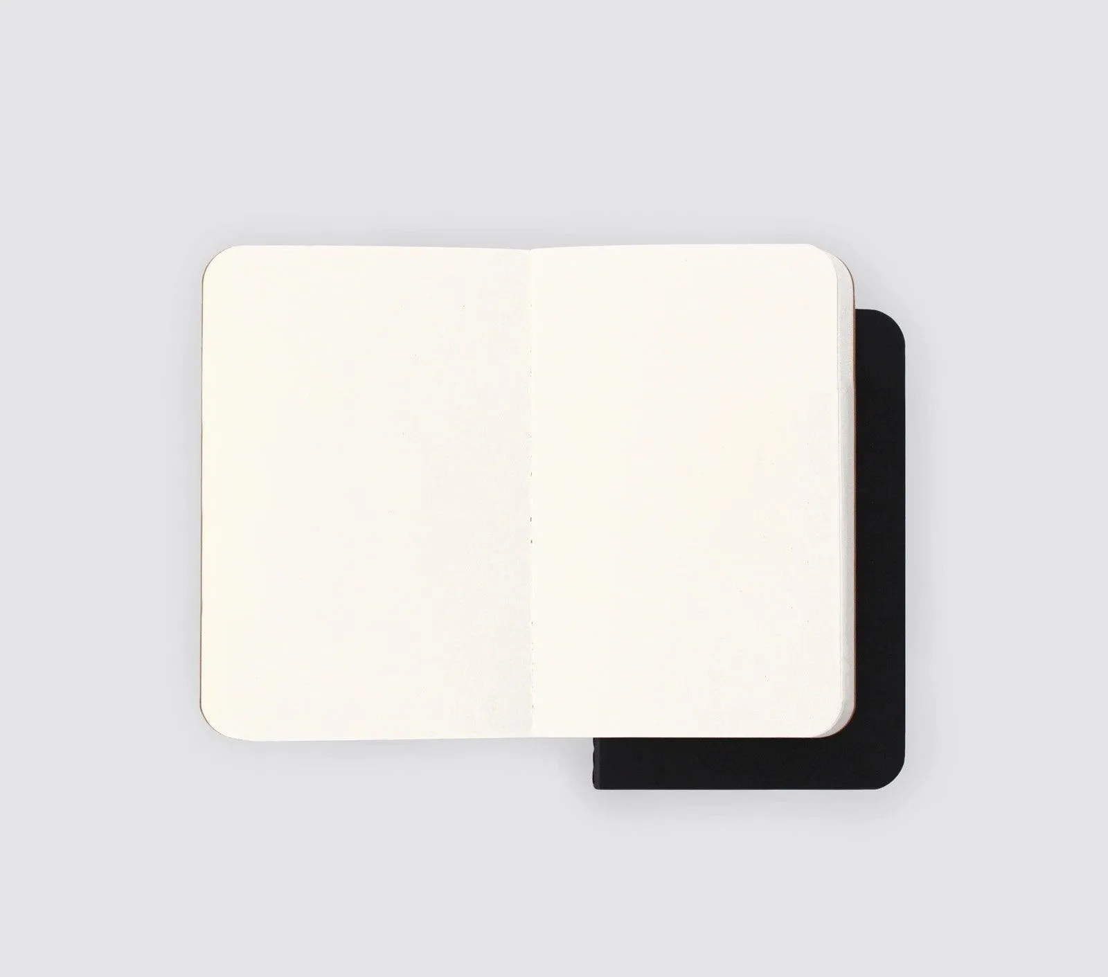 DIMINUTIVE DIARY SET OF 2 - BLANK
